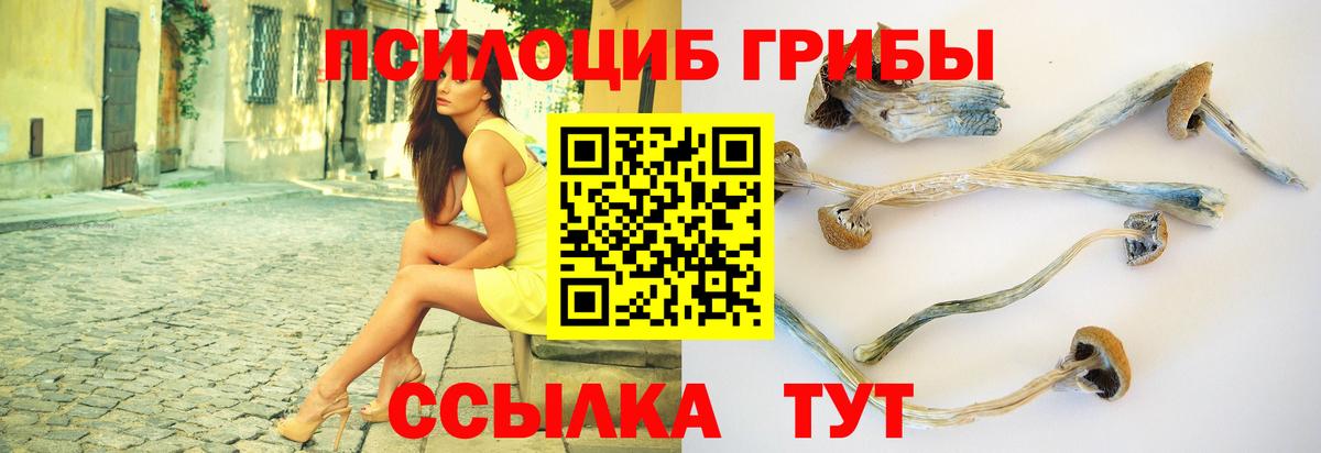 Галлюциногенные грибы MAGIC MUSHROOMS  Вход с VPN  Домодедово 